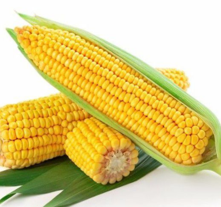 玉米振動篩如何選擇？